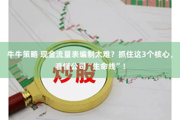 牛牛策略 现金流量表编制太难？抓住这3个核心，看懂公司“生命线”！