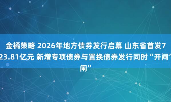 金橘策略 2026年地方债券发行启幕 山东省首发723.81亿元 新增专项债券与置换债券发行同时“开闸”